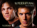 supernatural - Supernatural wallpaper
