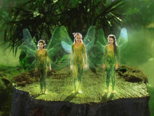 Swamp Fairies