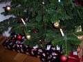 Swedish Jul Tree - christmas wallpaper