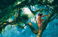 Tarzan - disney photo