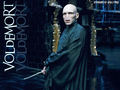 death-eaters - The Drak Lord wallpaper