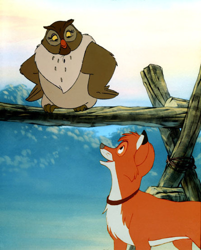  The cáo, fox and the Hound