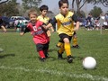 The Future :D - soccer photo