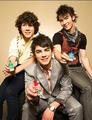 The Jonas Brothers - the-jonas-brothers photo