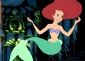 Walt Disney Production Cels - Princess Ariel - disney-princess photo