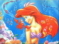 Walt Disney Images - Sebastian & Princess Ariel - disney-princess photo