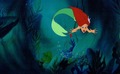 Walt Disney Screencaps - Princess Ariel & Sebastian - disney-princess photo