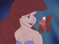 Walt Disney Screencaps - Princess Ariel & Sebastian - the-little-mermaid photo