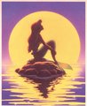 Walt Disney Images - The Little Mermaid - the-little-mermaid photo