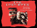 the-lost-boys-movie - The Lost Boys wallpaper