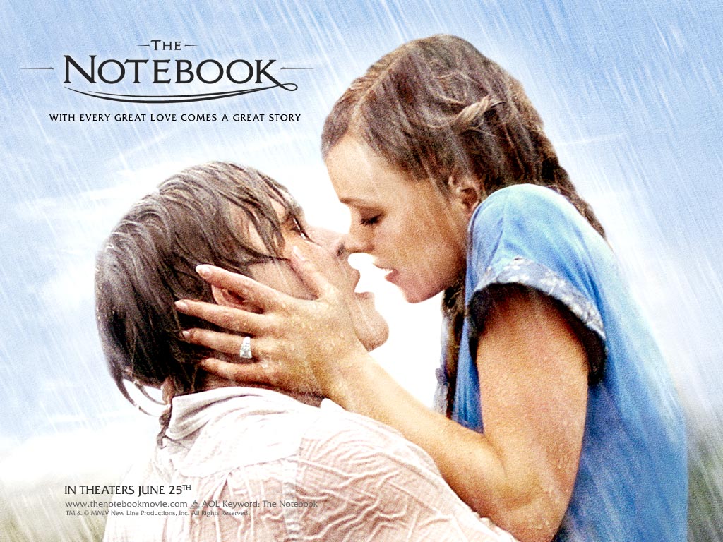 the notebook book