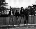 The Ramones - the-ramones photo