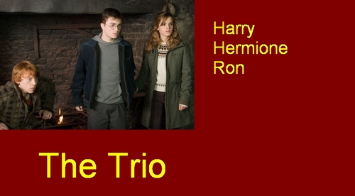  The Trio