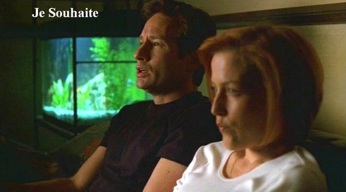 http://images.fanpop.com/images/image_uploads/The-X-Files-the-x-files-78297_500_278.jpg