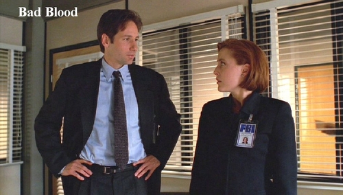 http://images.fanpop.com/images/image_uploads/The-X-Files-the-x-files-78307_500_284.jpg
