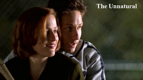 http://images.fanpop.com/images/image_uploads/The-X-Files-the-x-files-78326_500_279.jpg