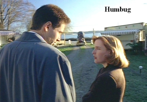 http://images.fanpop.com/images/image_uploads/The-X-Files-the-x-files-78359_500_347.jpg
