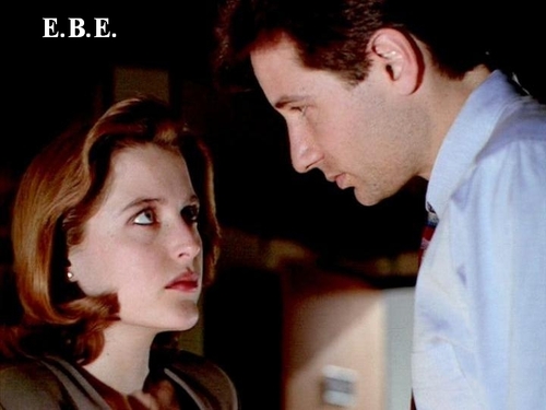 http://images.fanpop.com/images/image_uploads/The-X-Files-the-x-files-78379_500_375.jpg