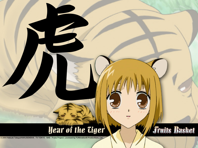 Tiger-fruits-basket-anime-manga-114744_800_600