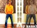 Tony - no-doubt wallpaper