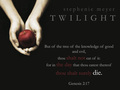 Twilight Wallpaper - twilight-series wallpaper