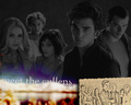 twilight-series - Twilight wallpaper wallpaper