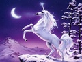 Unicorn's - fantasy photo