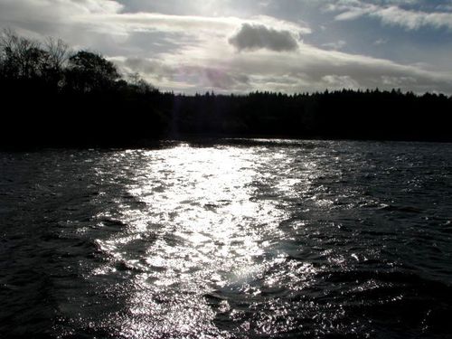  papar along the River Shannon