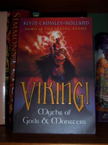Vikings Book