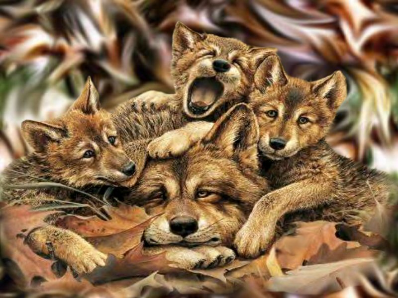 wolves wallpaper. WOLVES