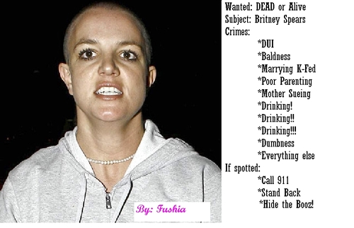  Wanted: Britney Spears