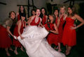 Wedding Party!! - lacey-chabert photo
