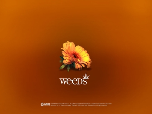  Weeds