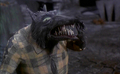 Werewolf - nightmare-before-christmas photo
