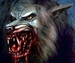 Werewolf - werewolves icon