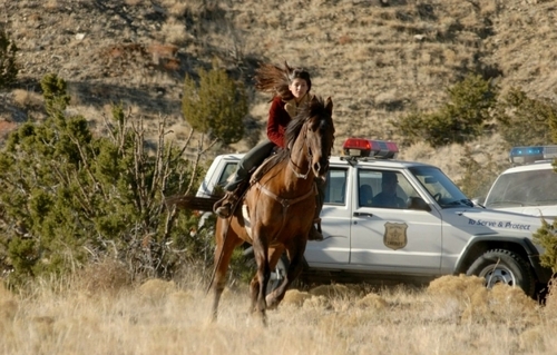  Wildfire Season 1 Pictures