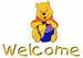Winnie the Pooh Bear - winnie-the-pooh icon