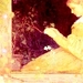 Winslow Homer - fine-art icon