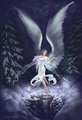 Winter Fairy - fairies photo