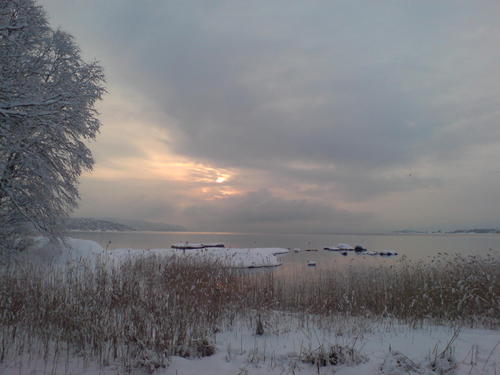  Winter at Bygdøy, Oslo