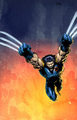 Wolverine - wolverine photo