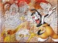 Yakko's Layout - animaniacs wallpaper