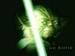 Yoda - star-wars icon