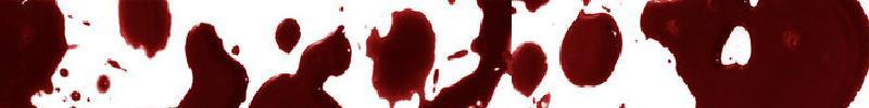 blood-banner-vampires-704293_800_100.jpg