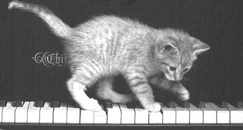  playing the 피아노