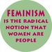 feminism - debate icon