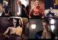 hot pictures of spike - spike photo