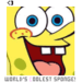 icons - spongebob-squarepants icon