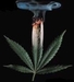leaf - marijuana icon