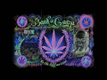 marijuana - purple wallpaper wallpaper